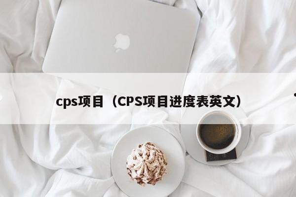 cps项目（CPS项目进度表英文）